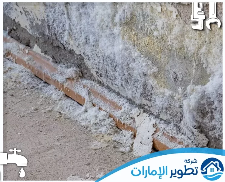 معالجة الرطوبة بالامارات